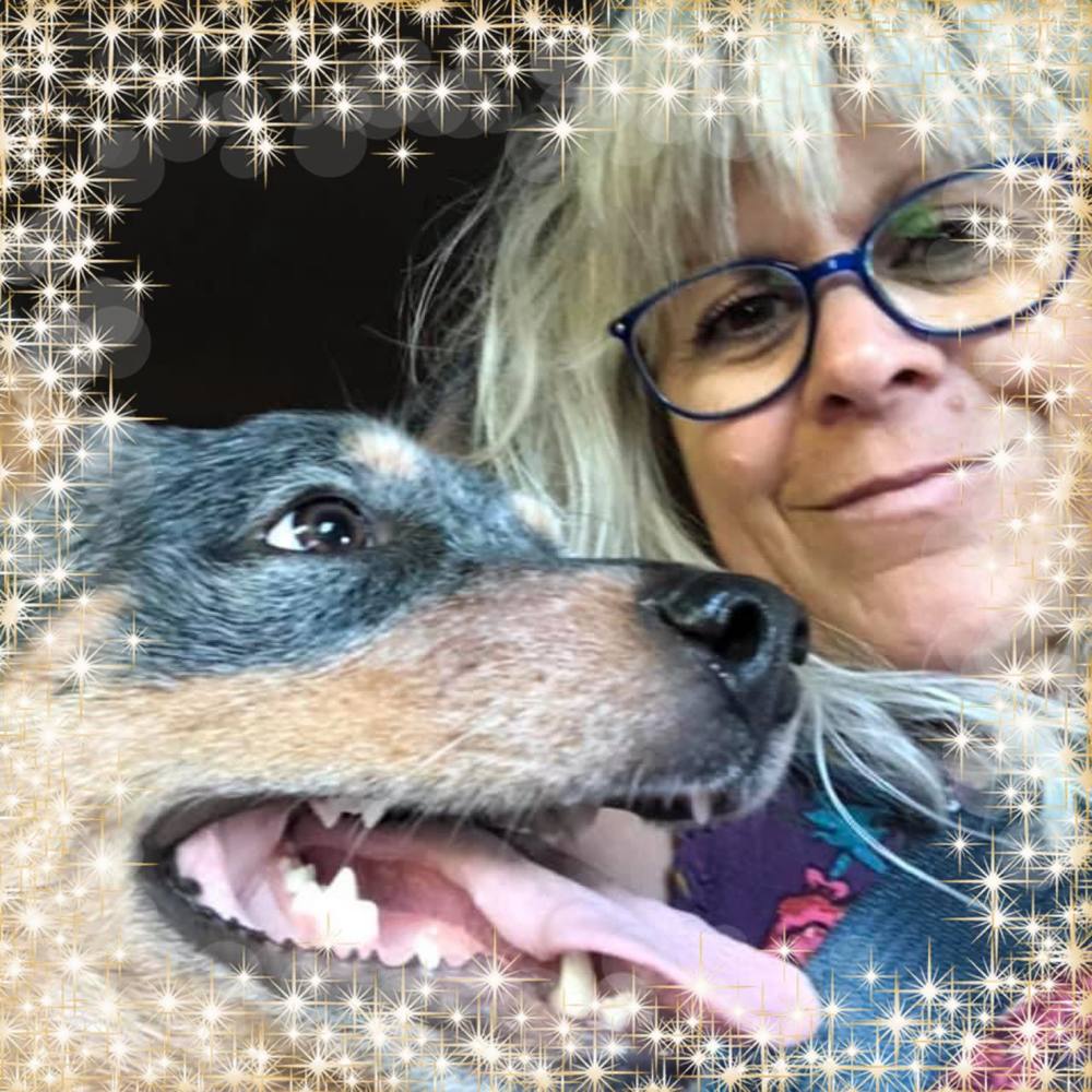 Meet your Posher, Lisa